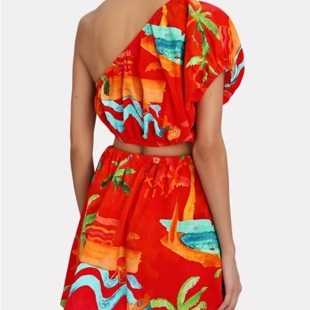 FARM RIO Ipanema One-Shoulder Cut-Out Mini Dress NWT Size S Small - Picture 3 of 5